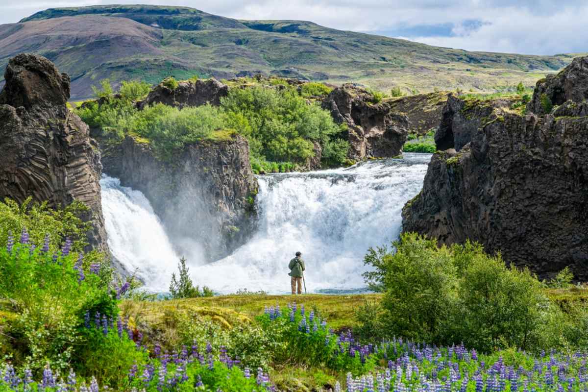 Day Tours in Iceland
