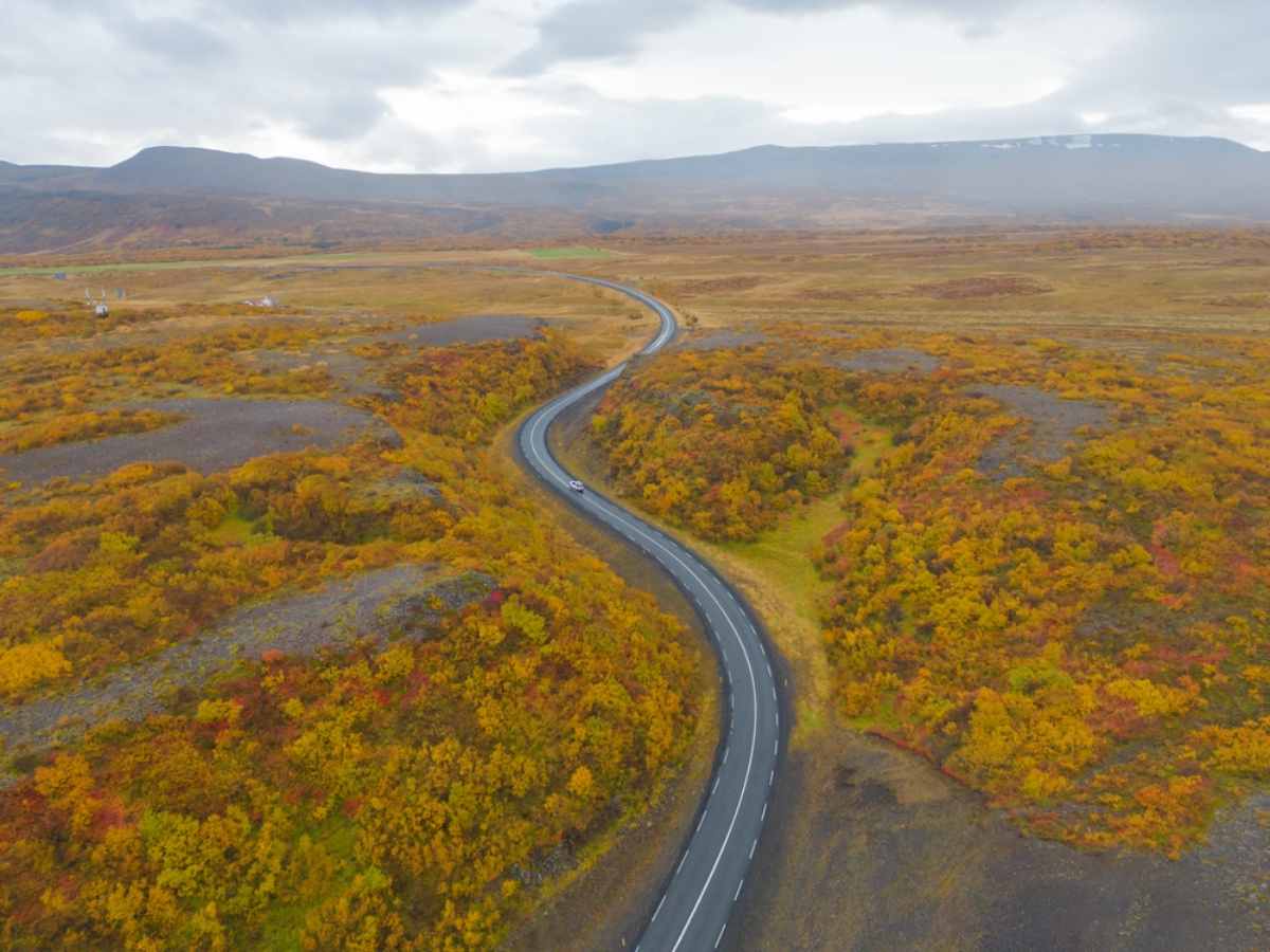 Drone view of a winding road through the autumn landscape of Iceland in shades of green, red and yellow