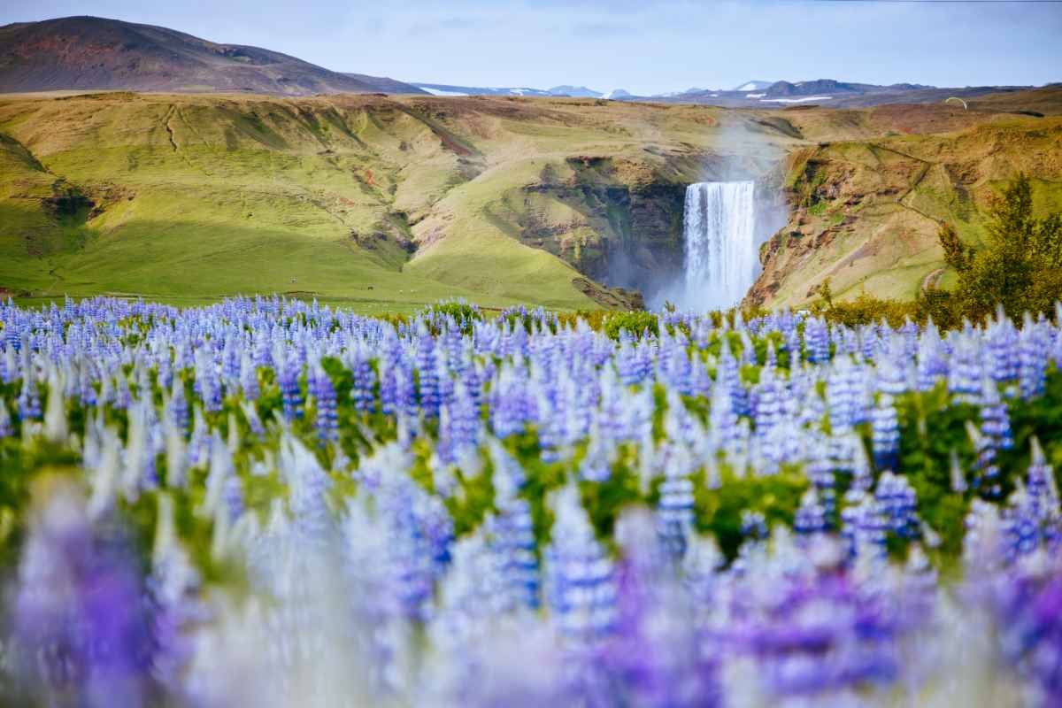 Iceland climate in spring