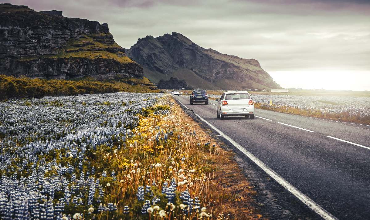 golden circle Iceland