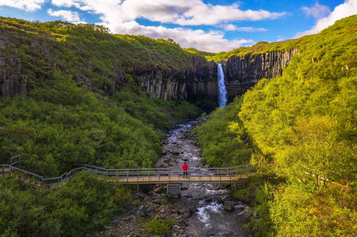 Svartifoss Hike