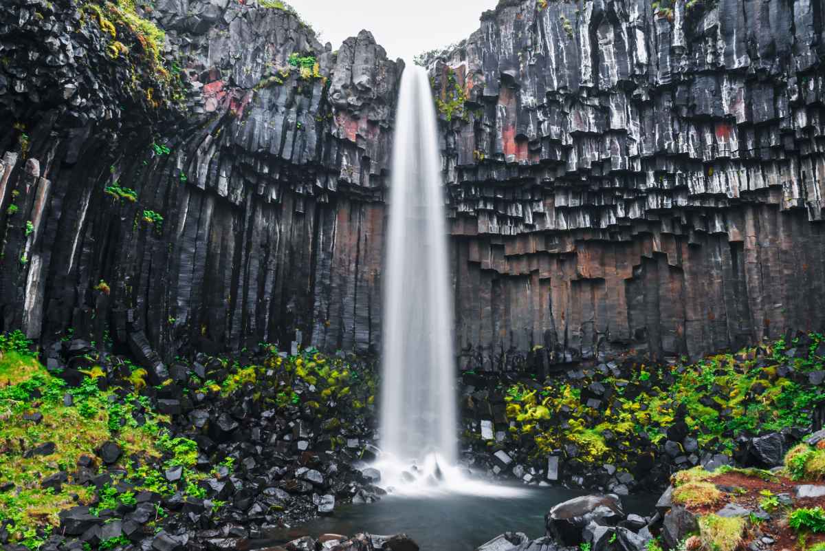 Guided tours to Svartifoss