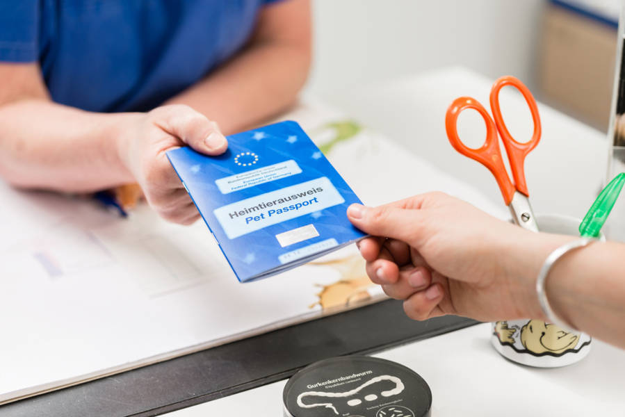 Vet handing out a pet passport to his client