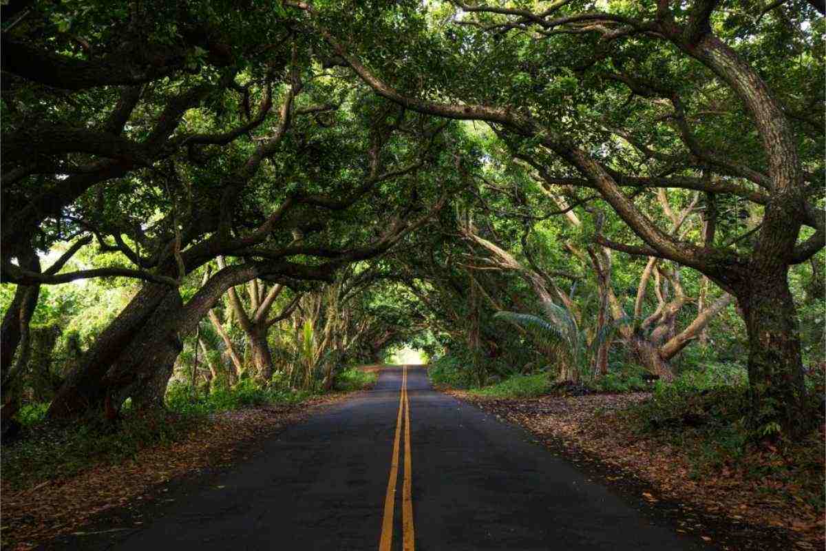 Best RV Road trip Route: Hawaii