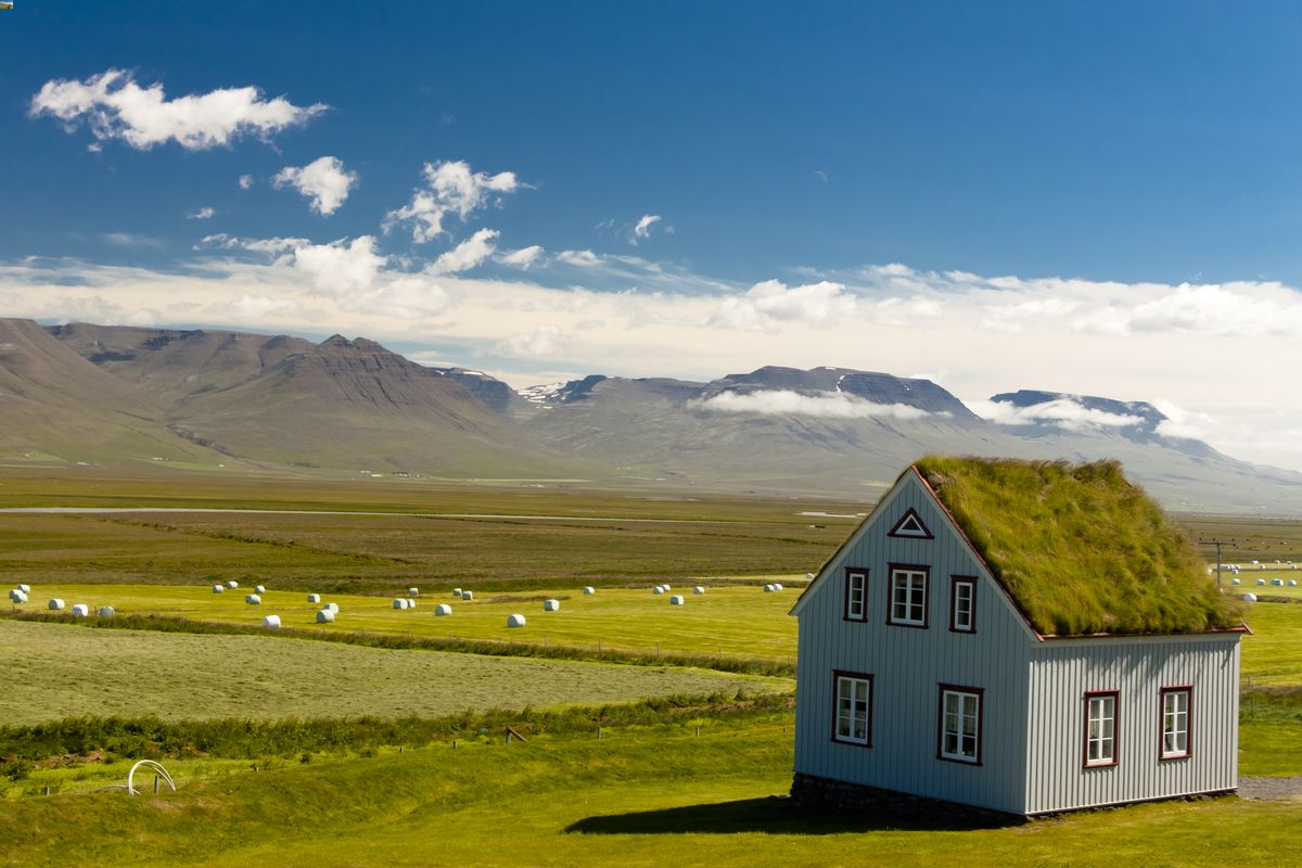 Iceland farm in the green countryside 