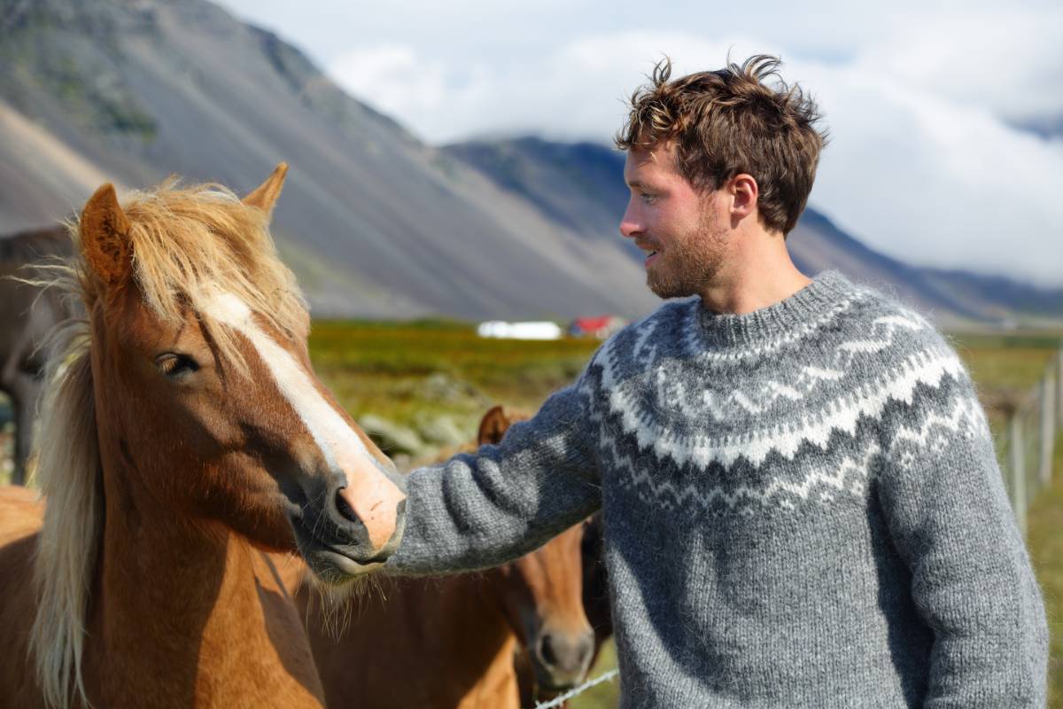 Iceland farm