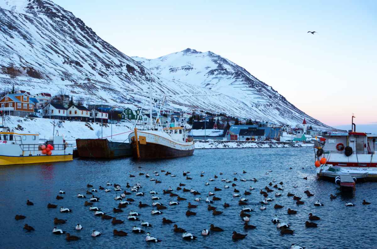 Visiting a herring museum, Iceland