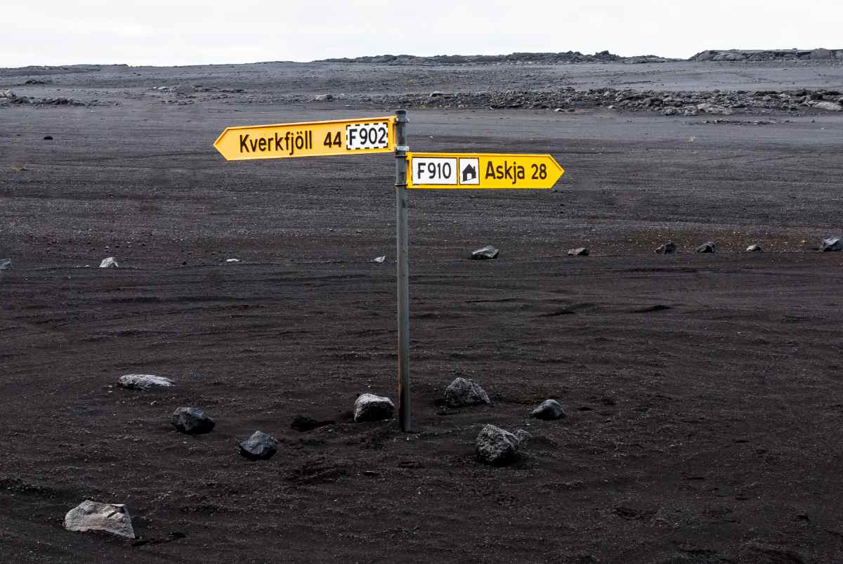F-Roads in June