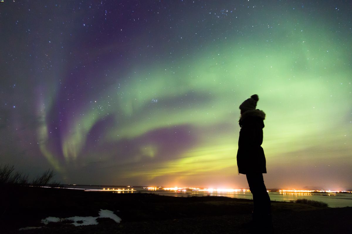 Whale Watching in Iceland