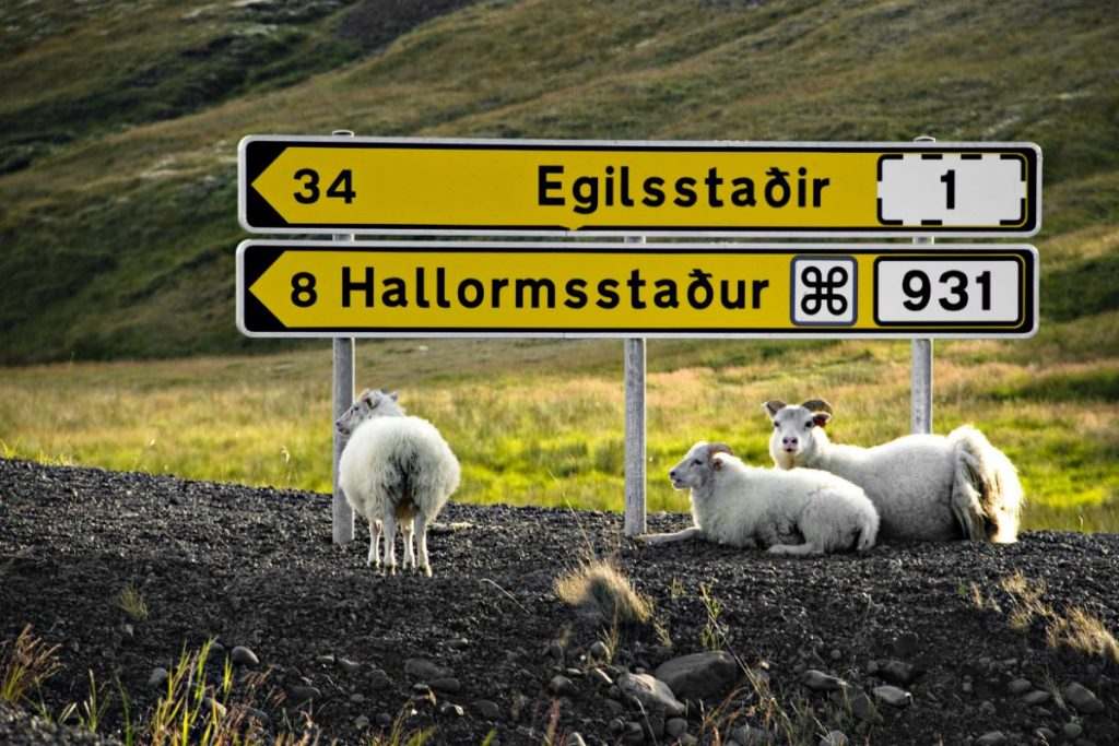 Egilsstadir Campground, Iceland
