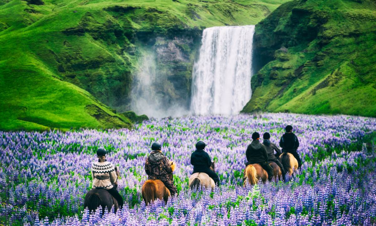 Horseback riding in Iceland