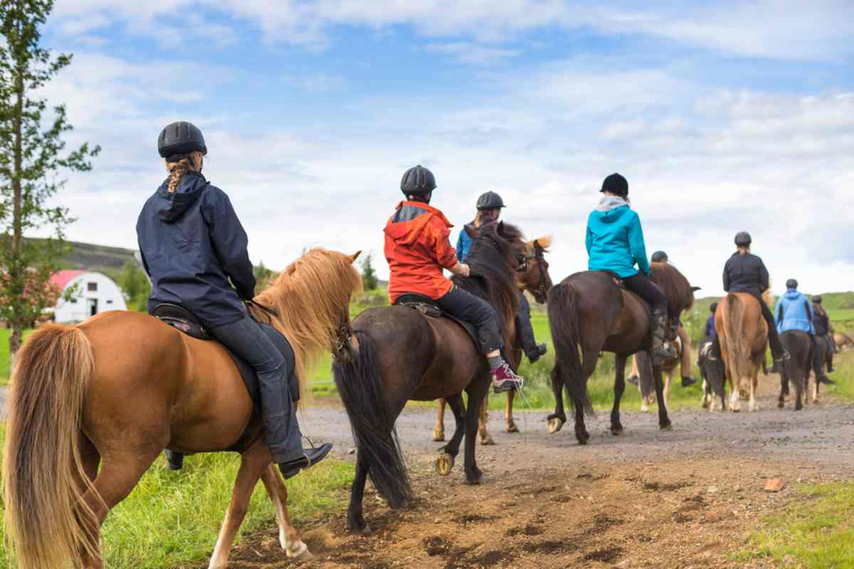 Reykjavik outdoor activities