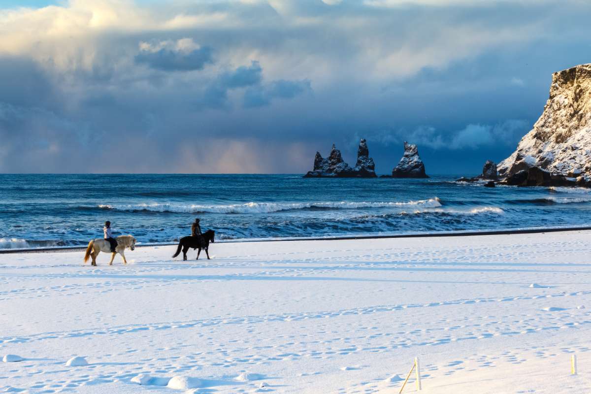 Black sand beach in Iceland in winter