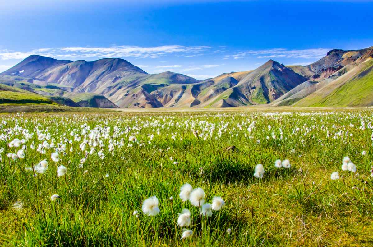 Iceland in April