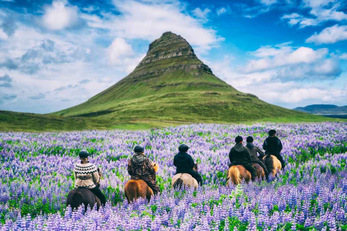Spring activities in Iceland