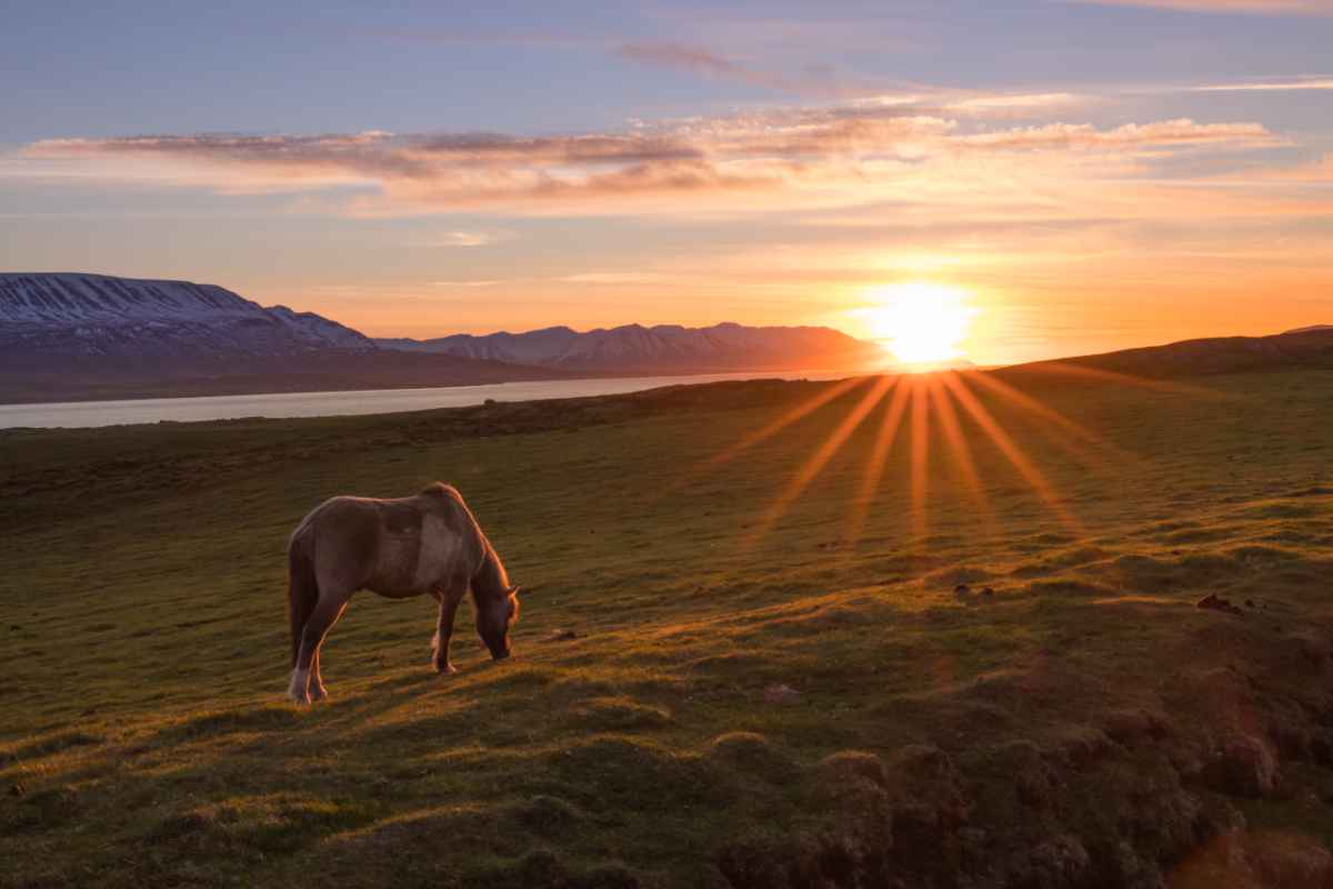 June in Iceland