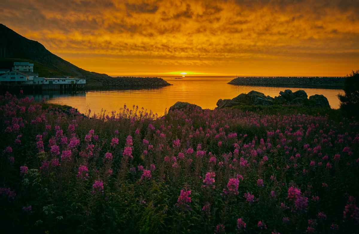 Fall in Iceland