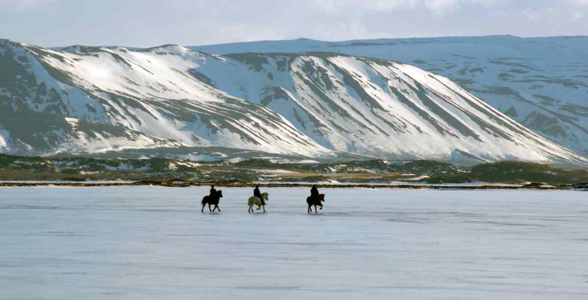 Horseback riding in Akureyri