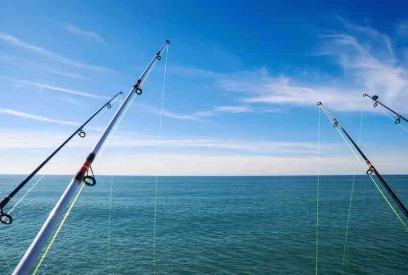 Sea Angler, Iceland