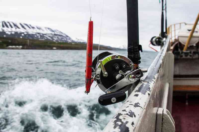 Iceland fishing permits