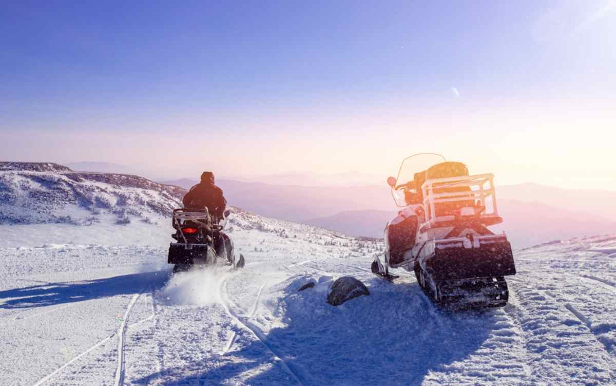 Dog Sledding Iceland