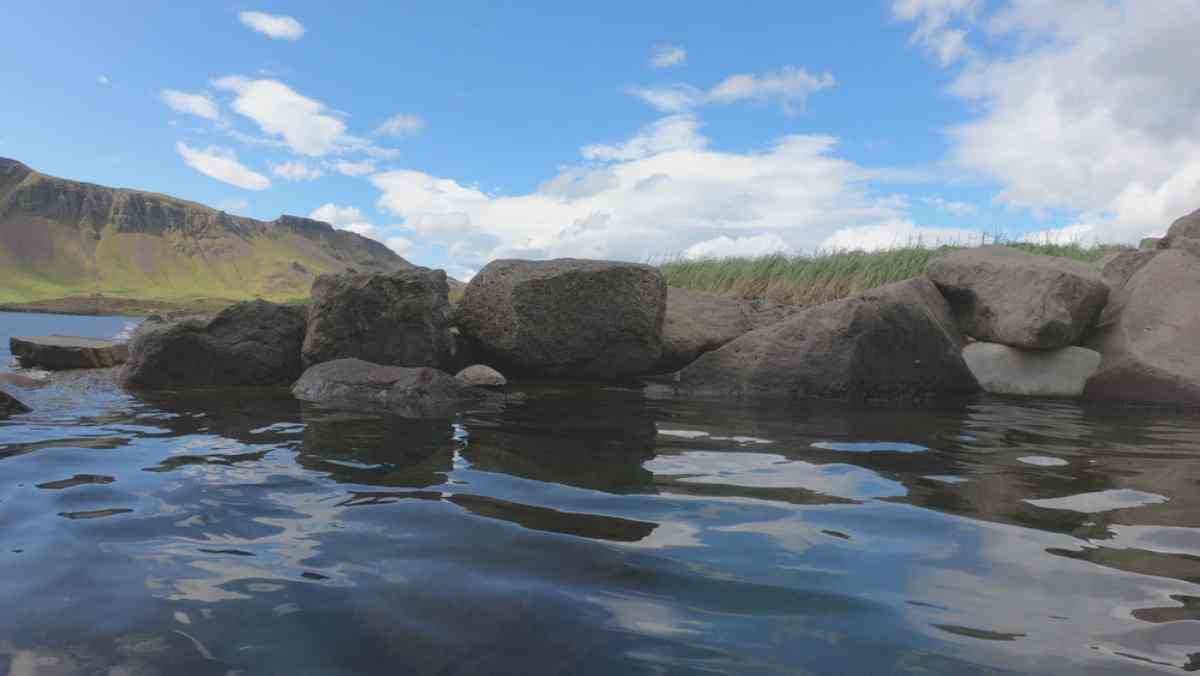  Forest Lagoon in Iceland