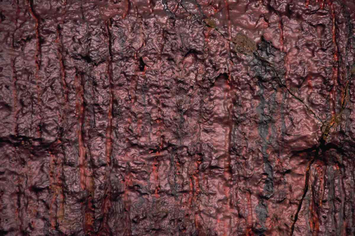 the cave vidgelmir