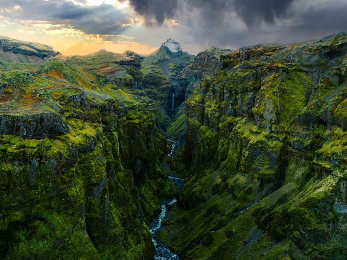  Forest Lagoon in Iceland