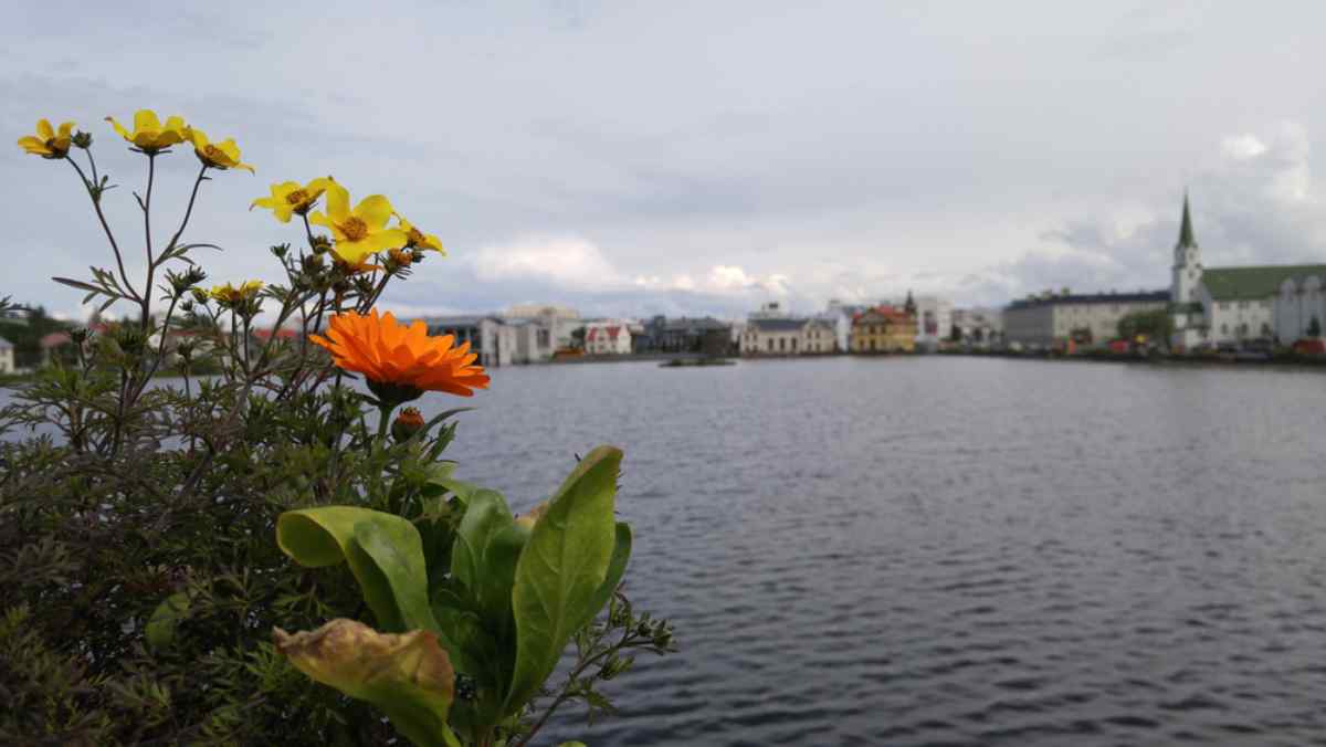 Nautholsvik
