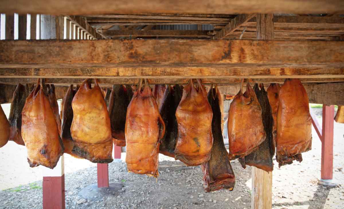 Hakarl: A Traditional Icelandic Delicacy