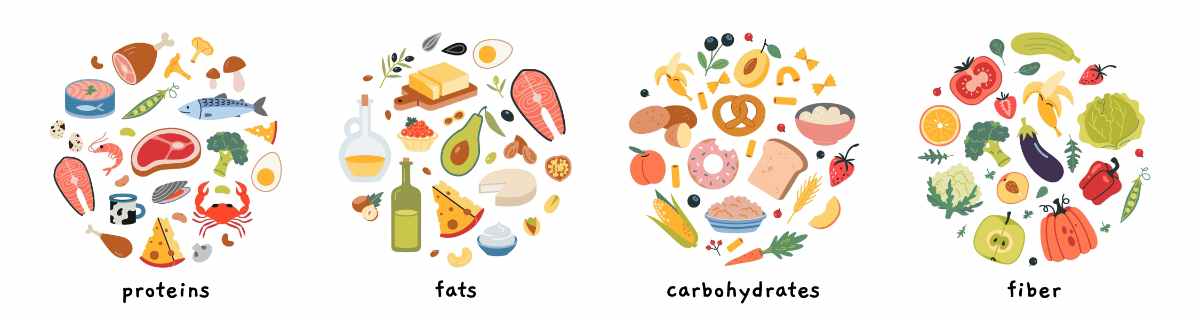 The five main food groups are: fruits, vegetables, grains, protein foods, and dairy