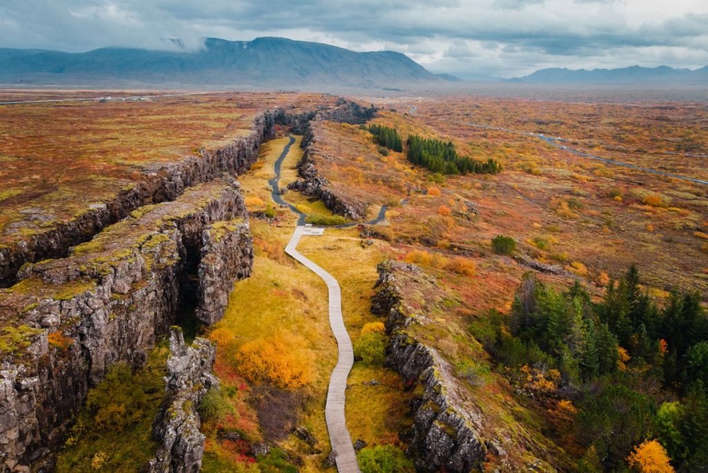 Tips for autumn camping in Iceland: Forest